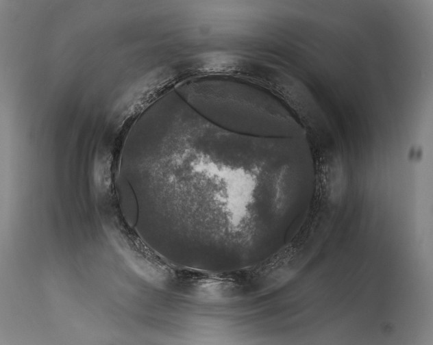 X0000115300504200911161701