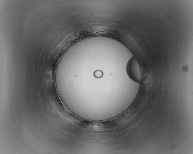 X0000115300506200911161701