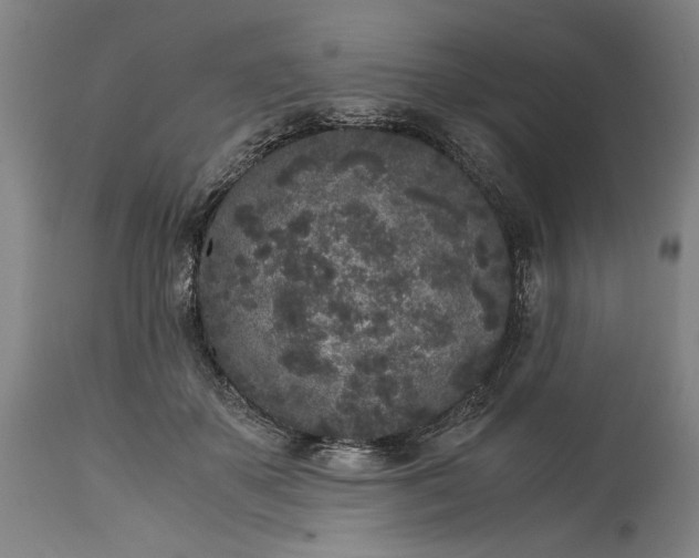 X0000115300507200911161701