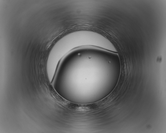 X0000115300508200911161701