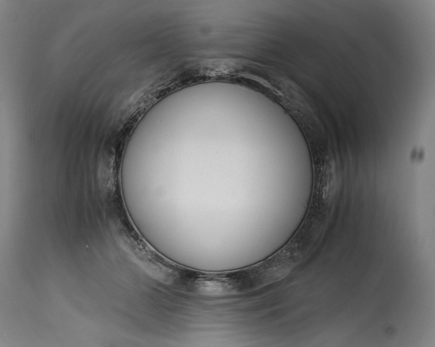 X0000115300510200911161701