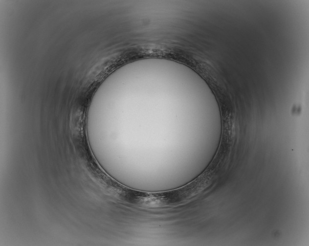 X0000115300511200911161701