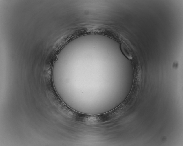 X0000115300513200911161700