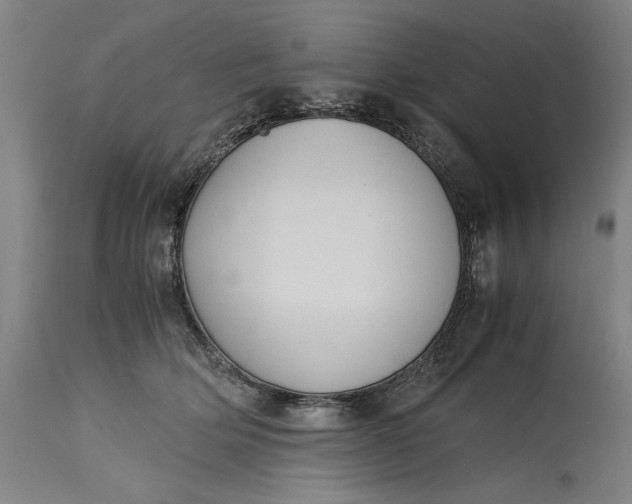 X0000115300514200911161700