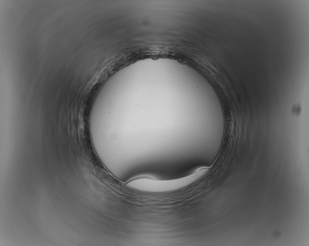 X0000115300516200911161700