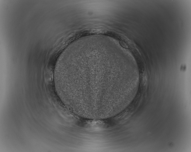 X0000115300517200911161700