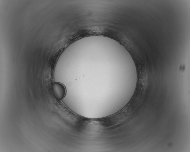 X0000115300518200911161700