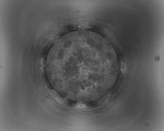 X0000115300519200911161700