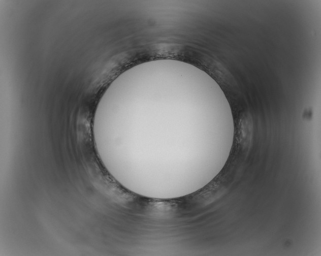 X0000115300522200911161700