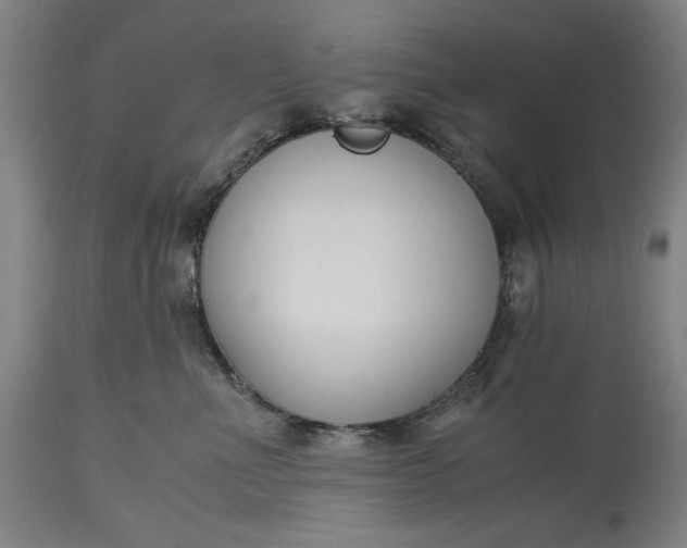 X0000115300523200911161700