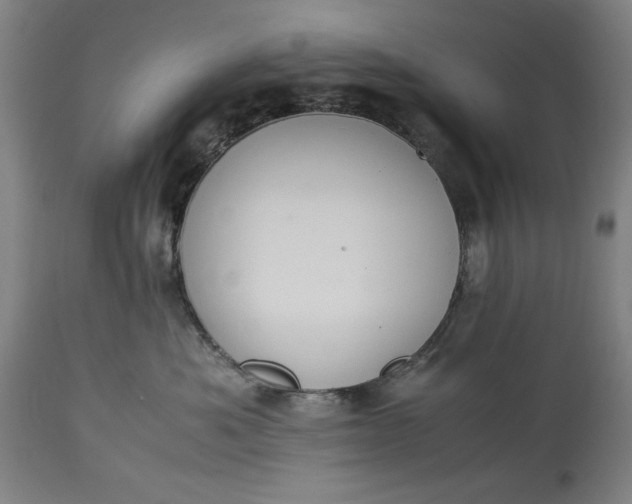 X0000115300525200911161700