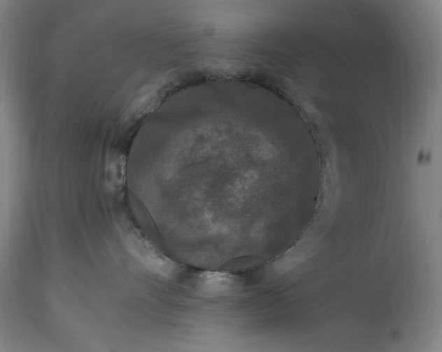 X0000115300528200911161700