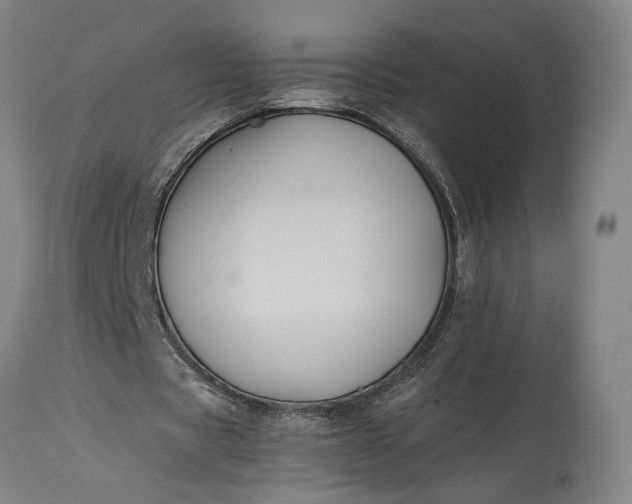 X0000115300529200911161700