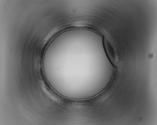 X0000115300530200911161700