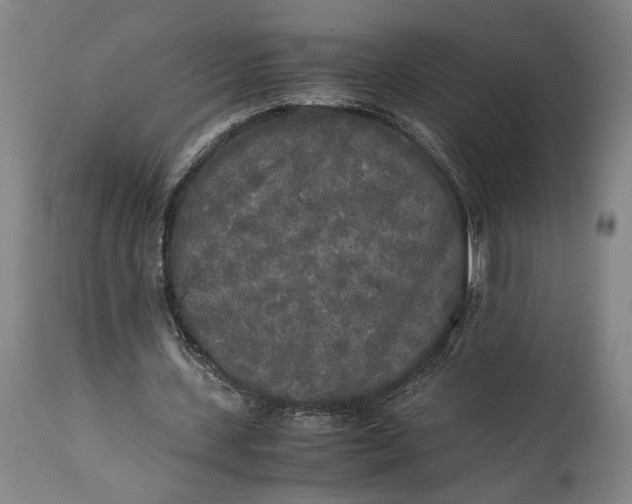 X0000115300531200911161700