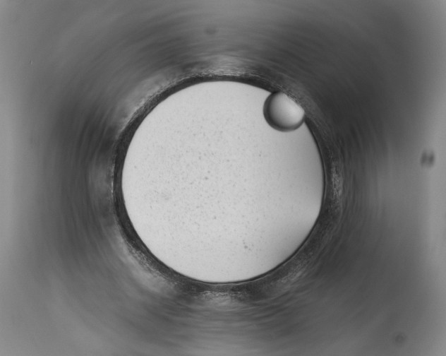 X0000115300534200911161700