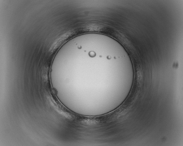 X0000115300537200911161700