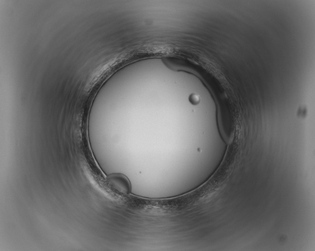 X0000115300538200911161700