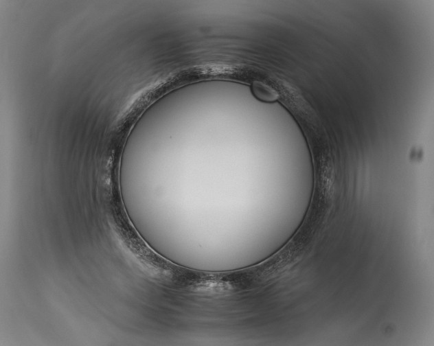 X0000115300543200911161700