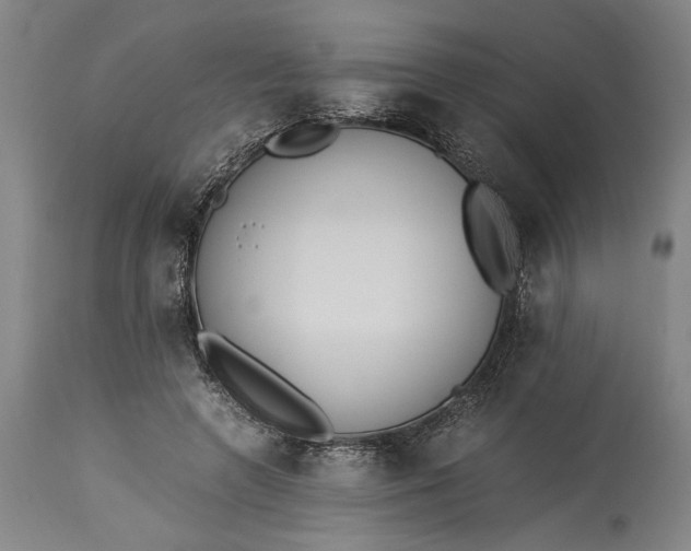 X0000115300546200911161700