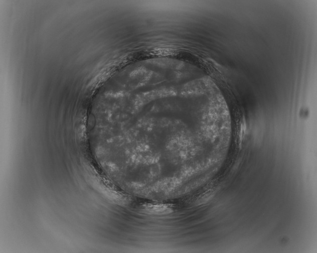 X0000115300553200911161700