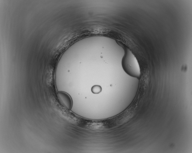 X0000115300554200911161700