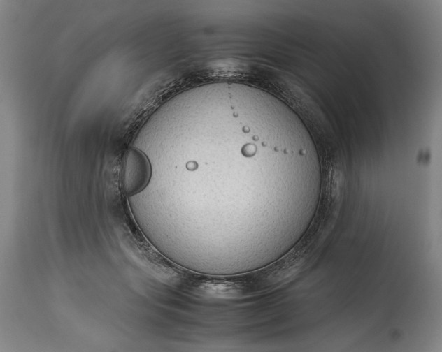 X0000115300557200911161700