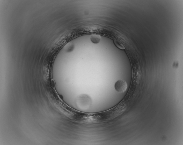 X0000115300558200911161700