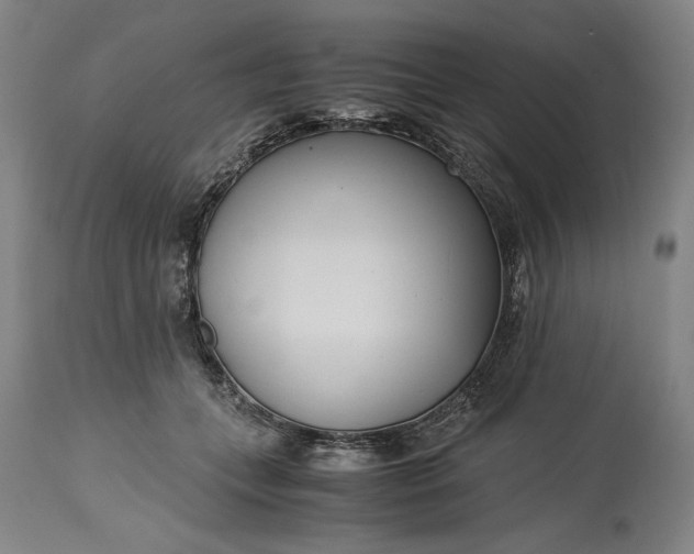 X0000115300559200911161700