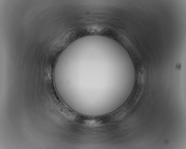 X0000115300561200911161700