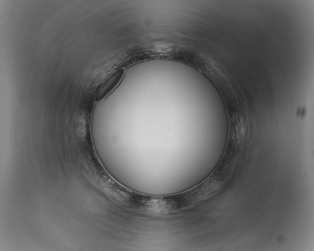 X0000115300562200911161700