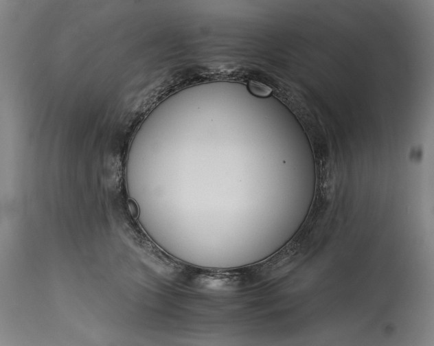 X0000115300563200911161700