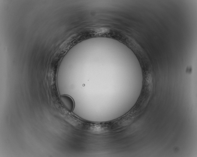 X0000115300565200911161700