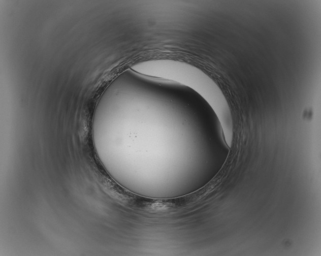 X0000115300566200911161700