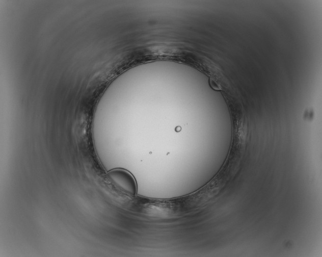 X0000115300567200911161700