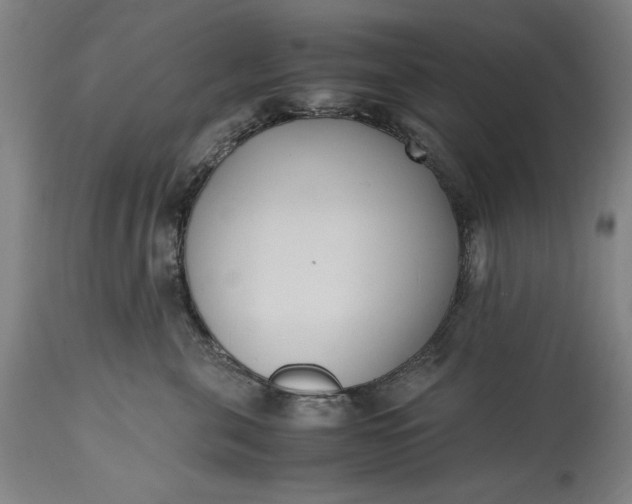 X0000115300571200911161700