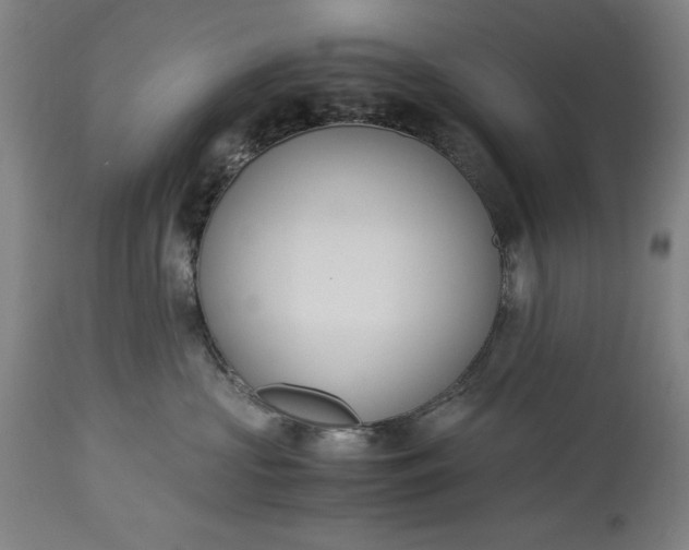 X0000115300573200911161700