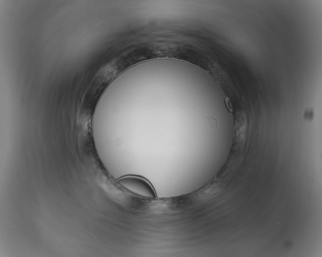 X0000115300574200911161700