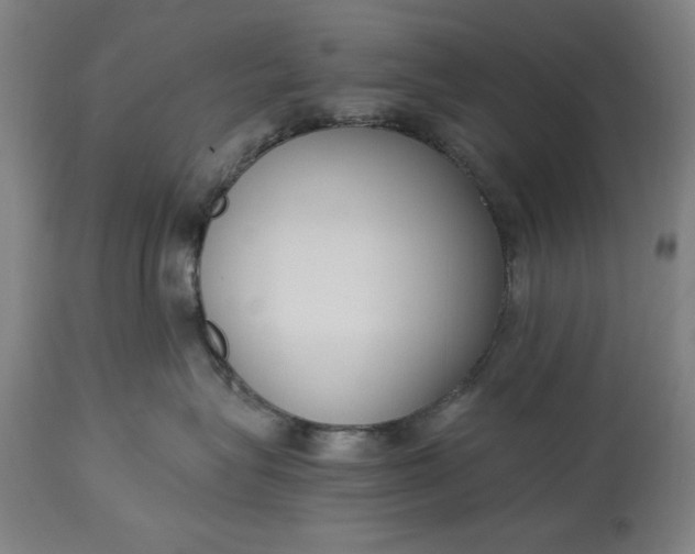 X0000115300575200911161700