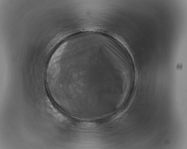 X0000115300577200911161700