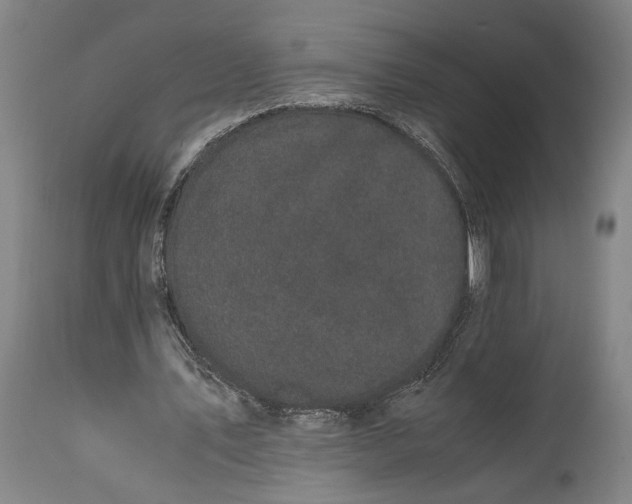 X0000115300579200911161700