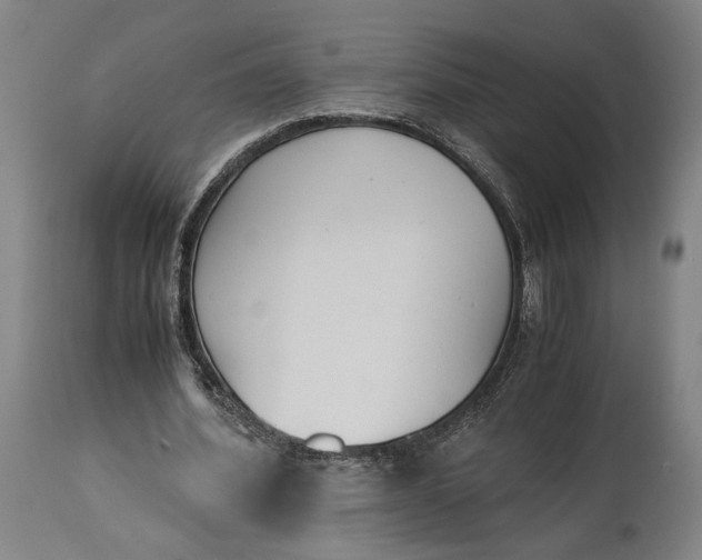 X0000115300580200911161700