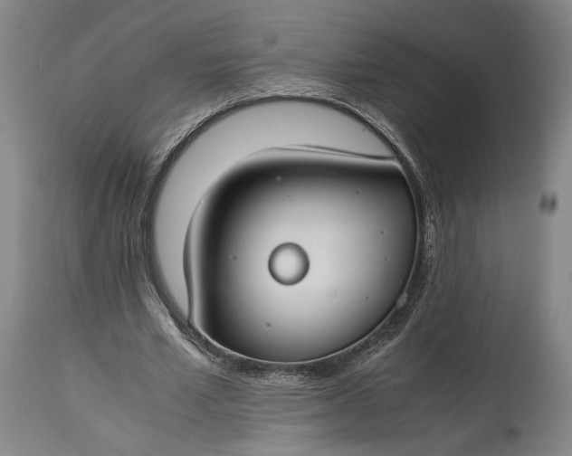 X0000115300581200911161700