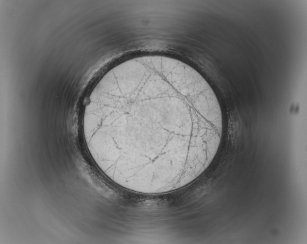 X0000115300584200911161700