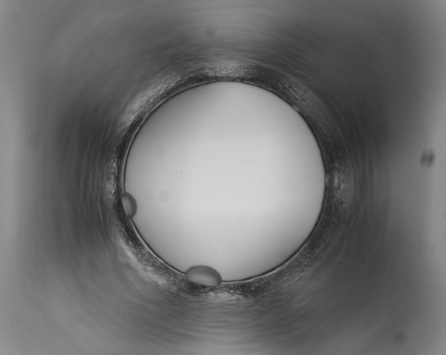 X0000115300586200911161659