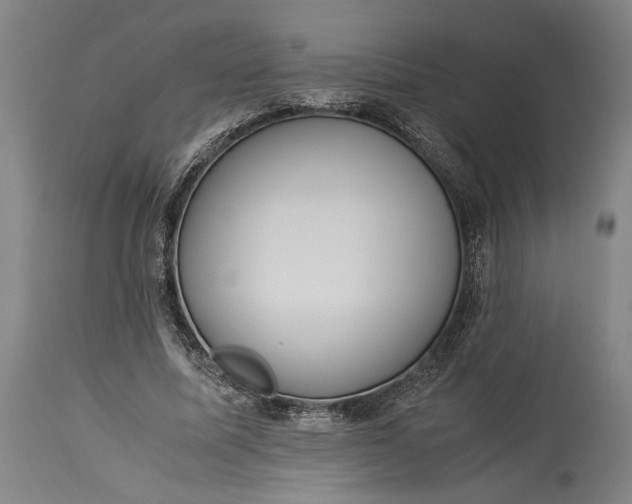 X0000115300587200911161659