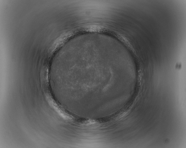 X0000115300589200911161659