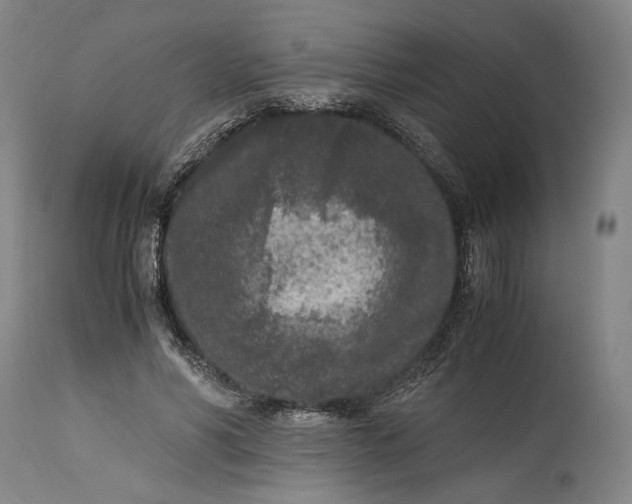 X0000115300590200911161659