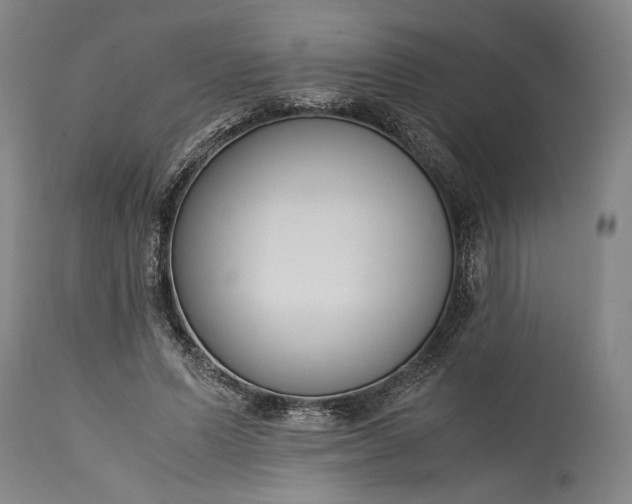 X0000115300591200911161659