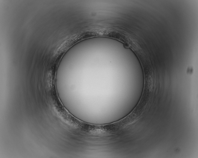 X0000115300594200911161659